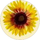 marijaslavica